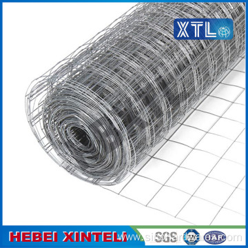 High Quality Holland Wire mesh